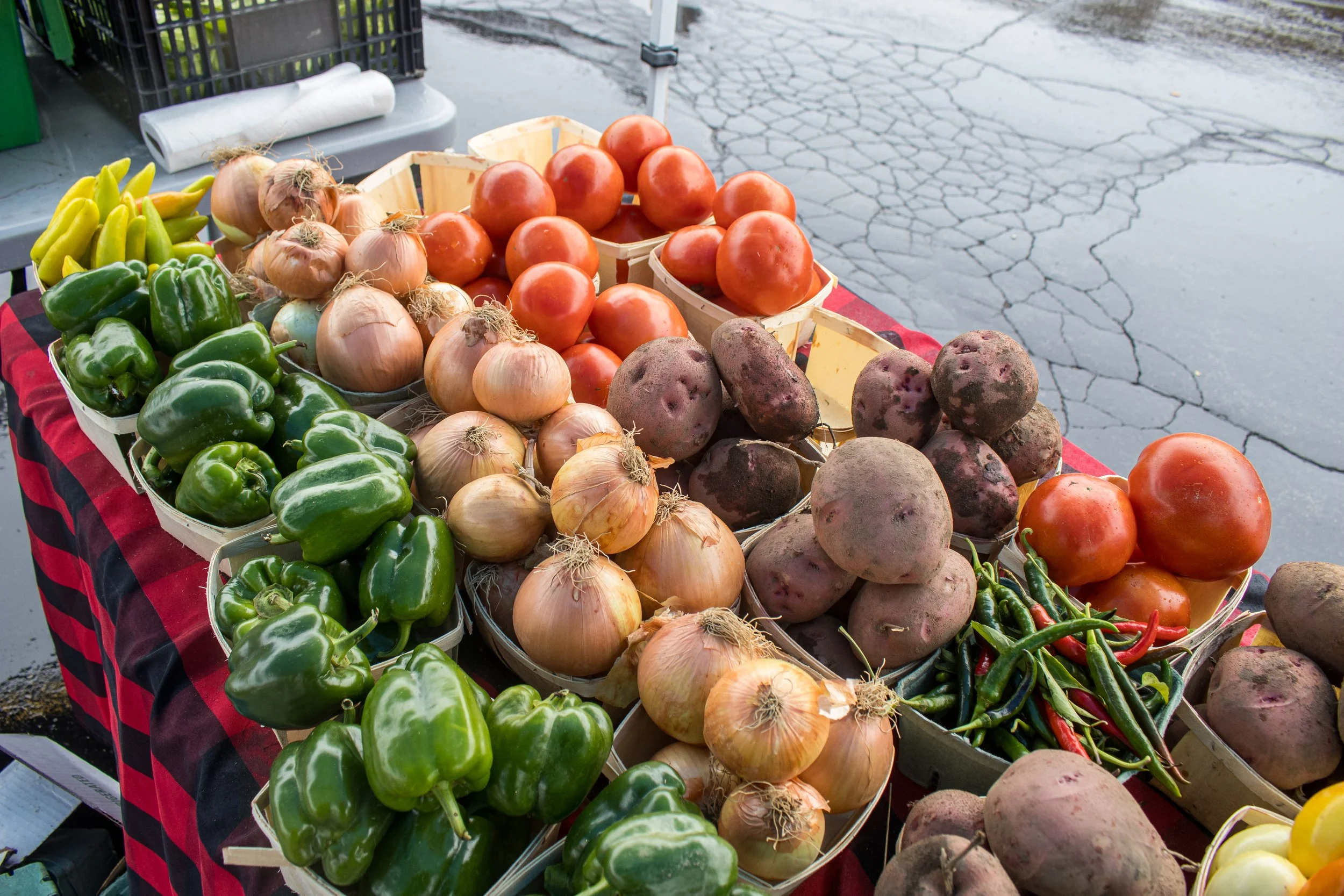 Providence Farm Collective