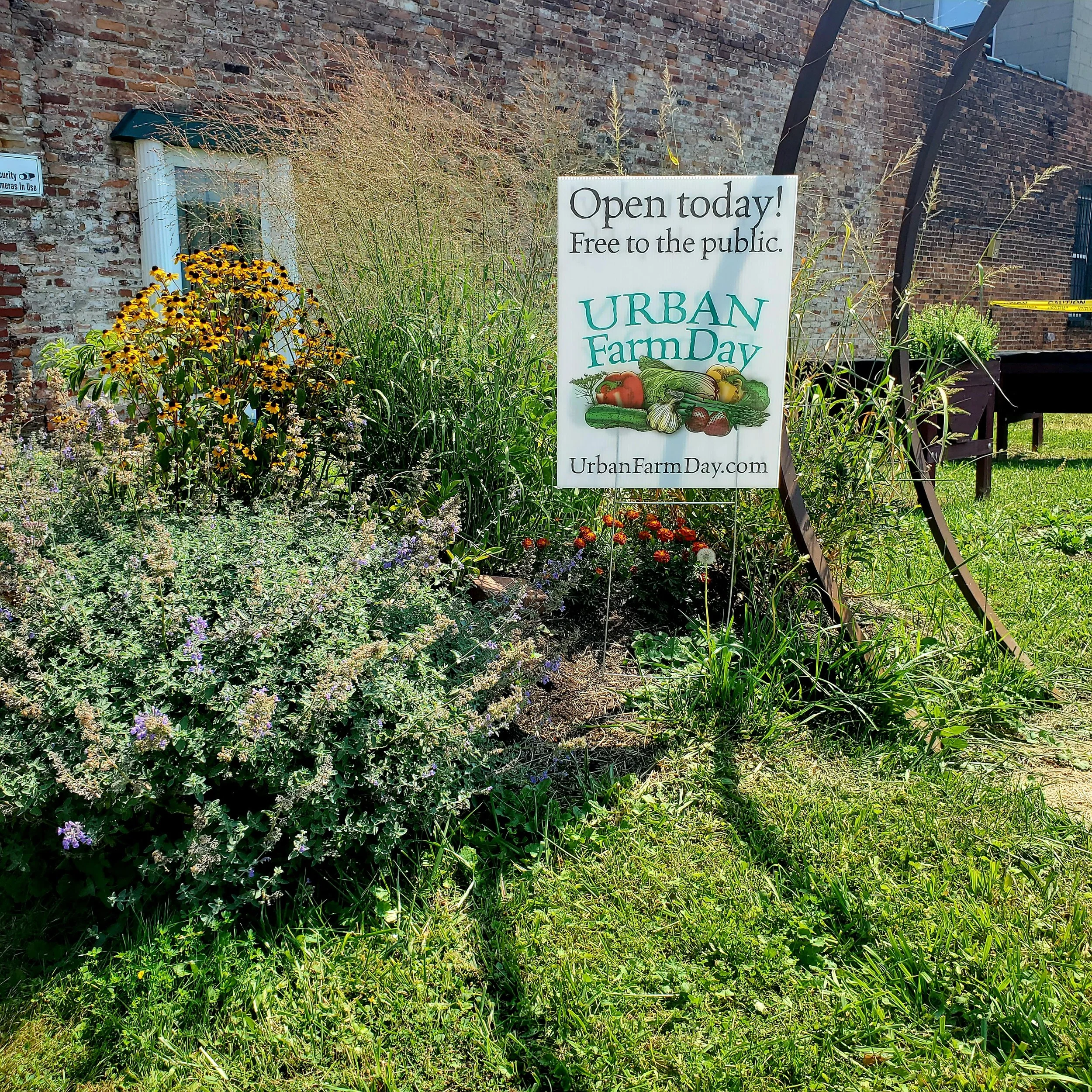 Urban Farm Day
