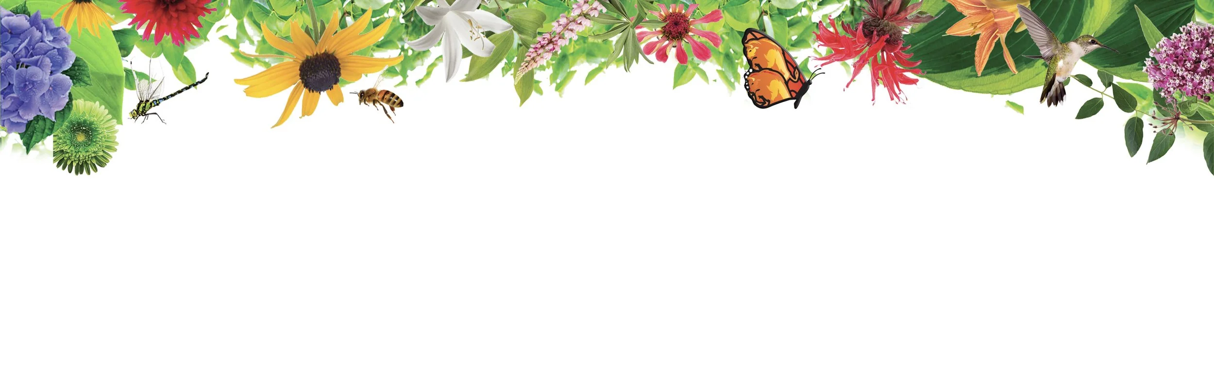 Secondary Page header2.jpg