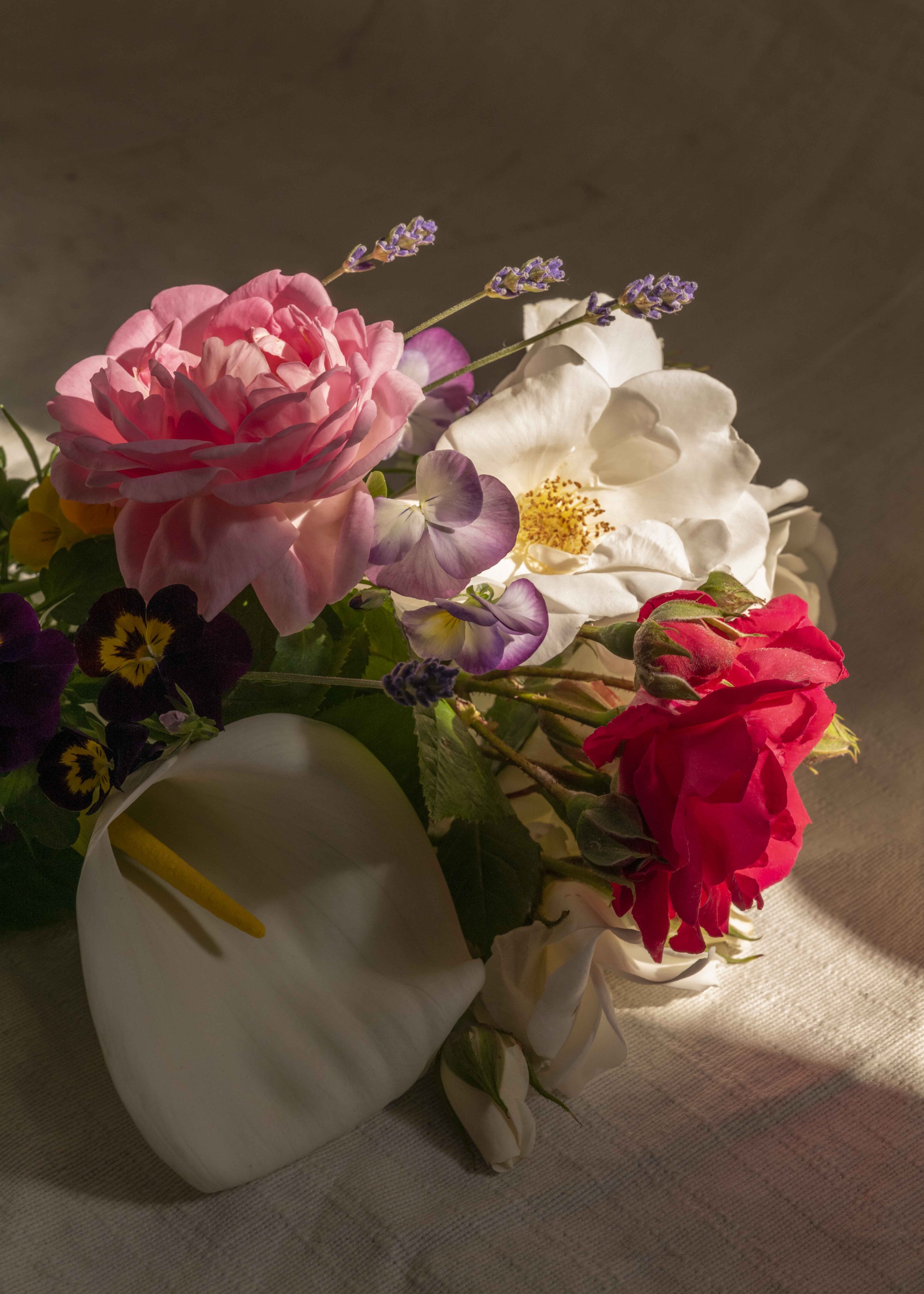 Flowers of the Zodiac