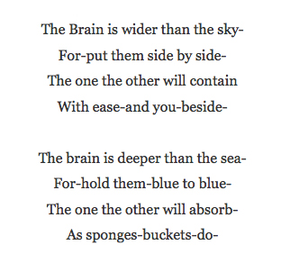 brain 2.001