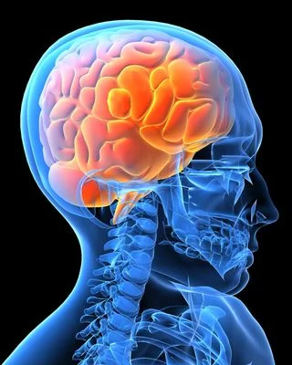 Cannes Workshop: Planning By Planners Who Aren’t ‘Planners’