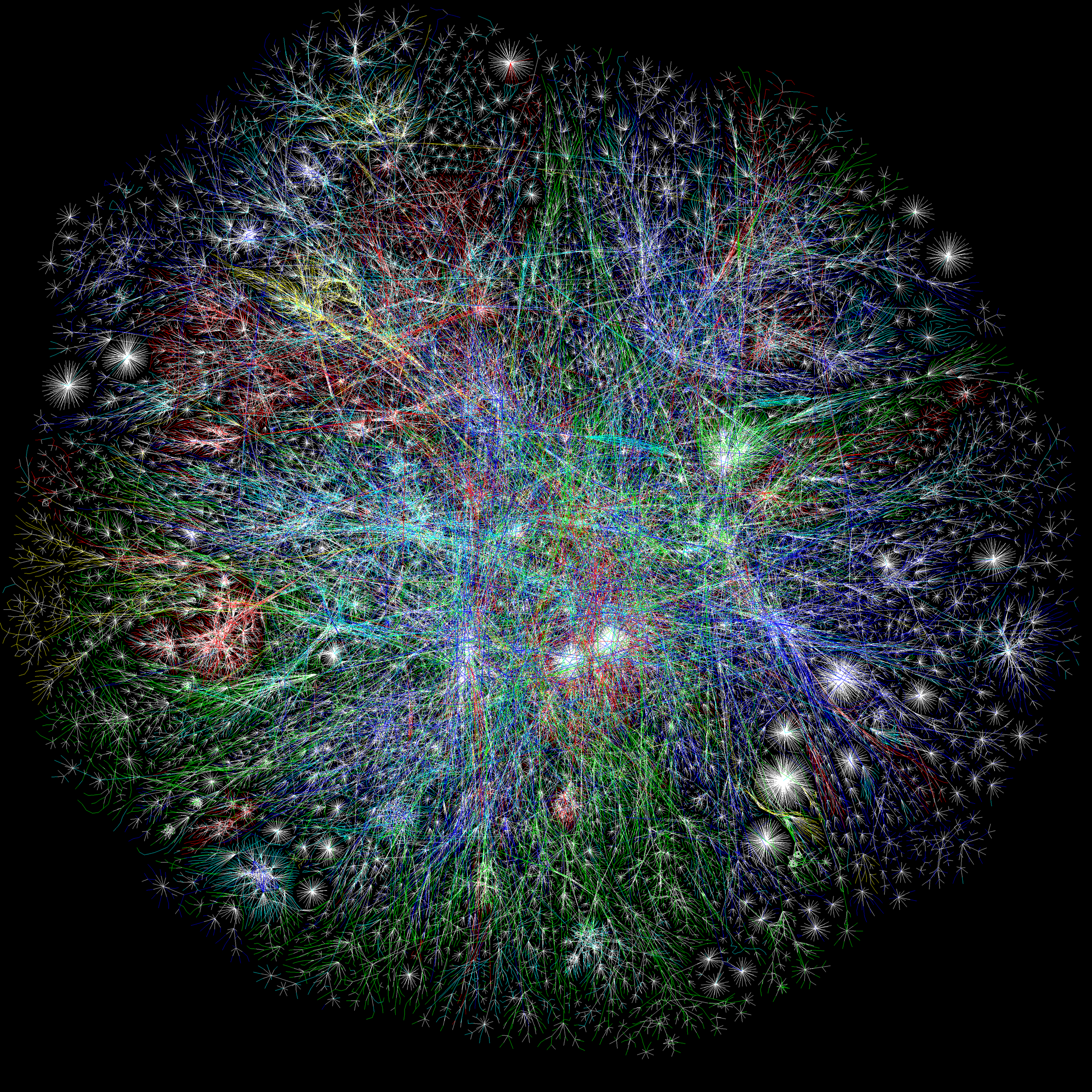 The Network Within The Network