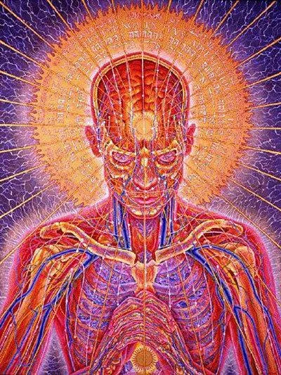 The Collapsing Line And The Digital River Running Through Us