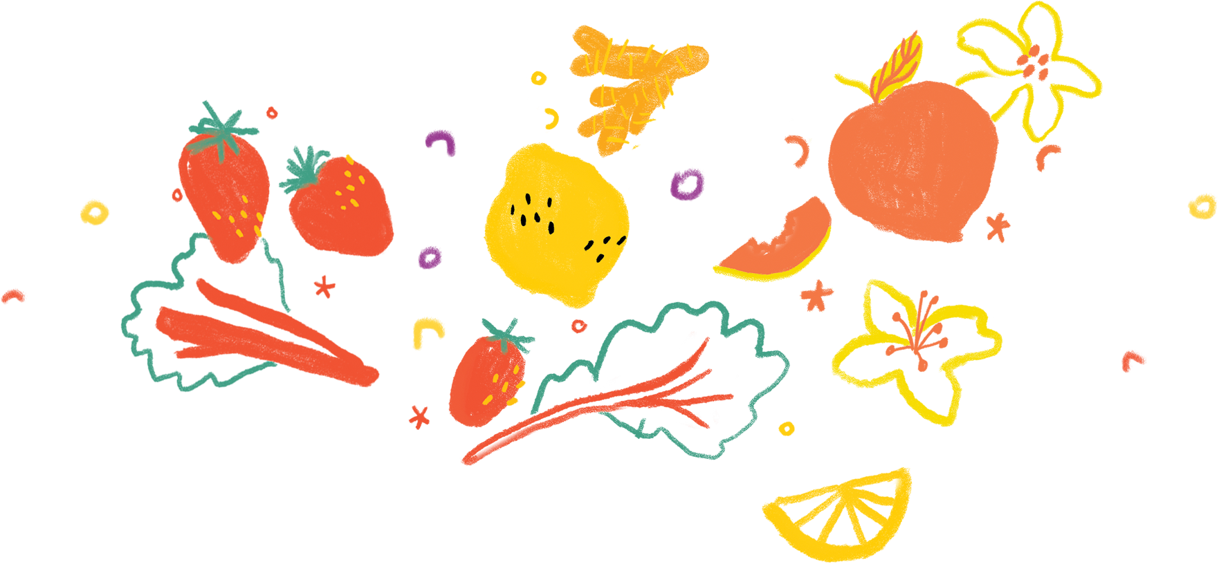 fruitborder-1.png