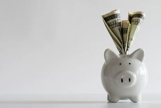 Beyond the FDIC Safety Net: Protecting Your Cash When Your Savings Exceed Insurance Limits