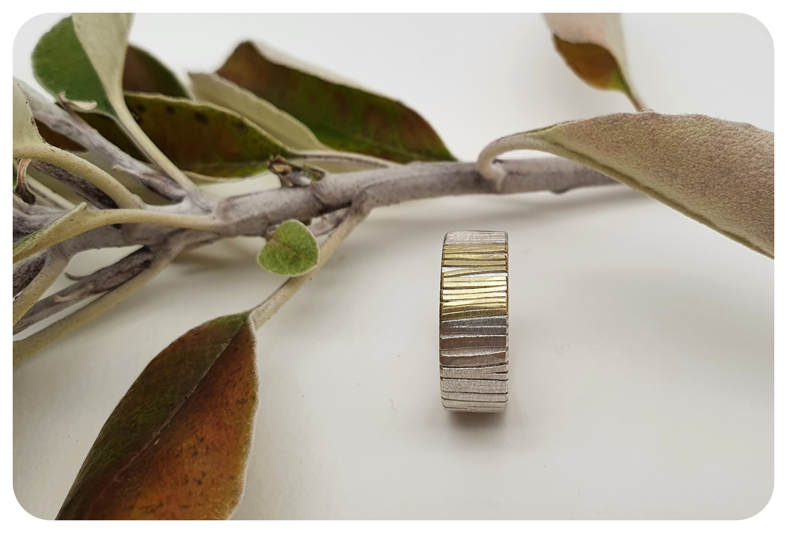 Wide Silver and 18ct gold Woodland ring — Donna Barry Jewellery