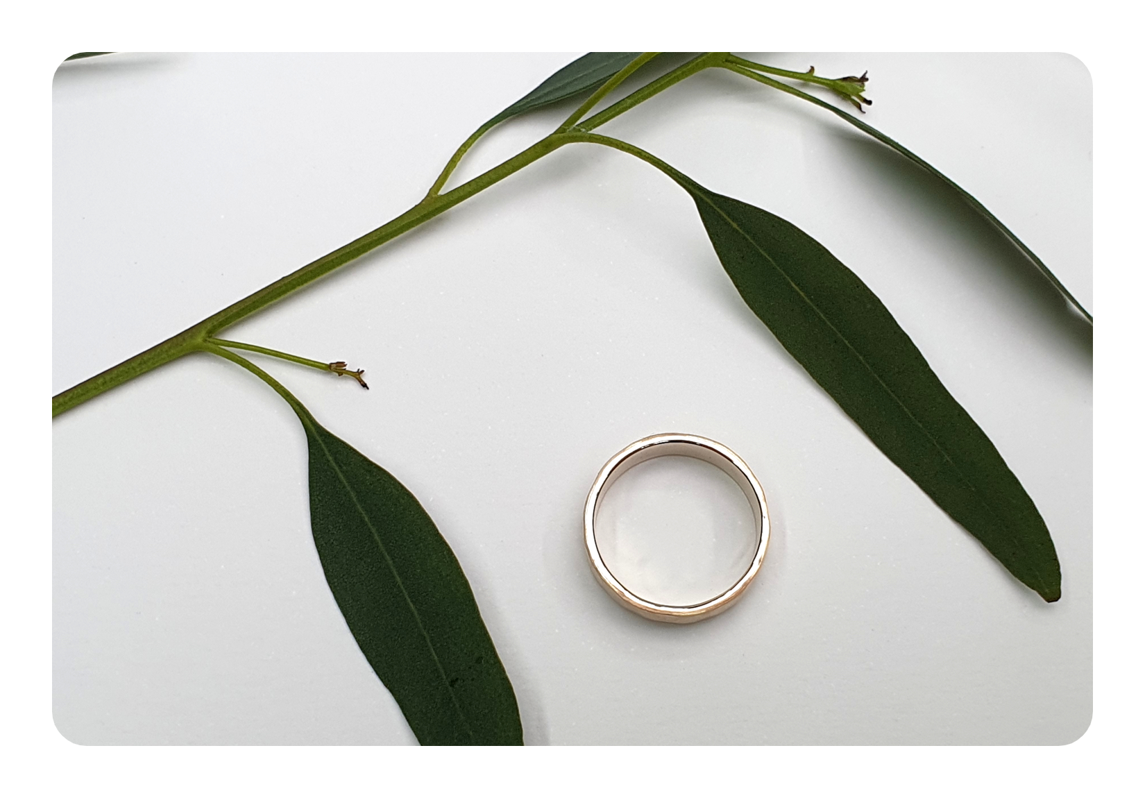 6.5mm flat facet band top.png