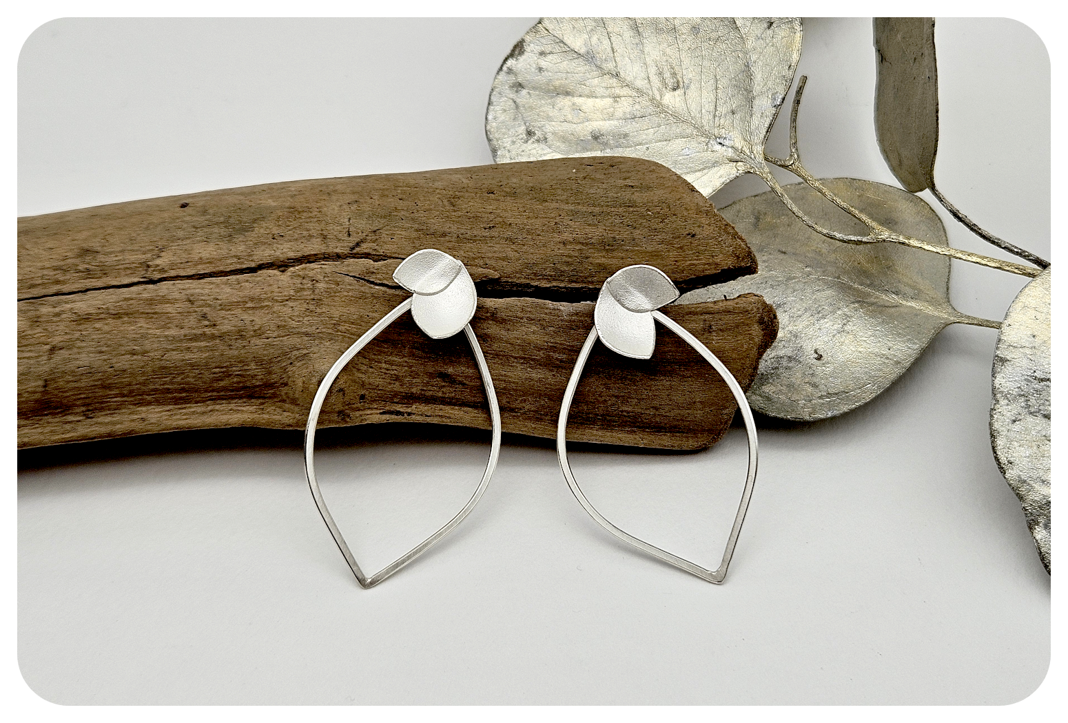 orchid petal loop ear.png