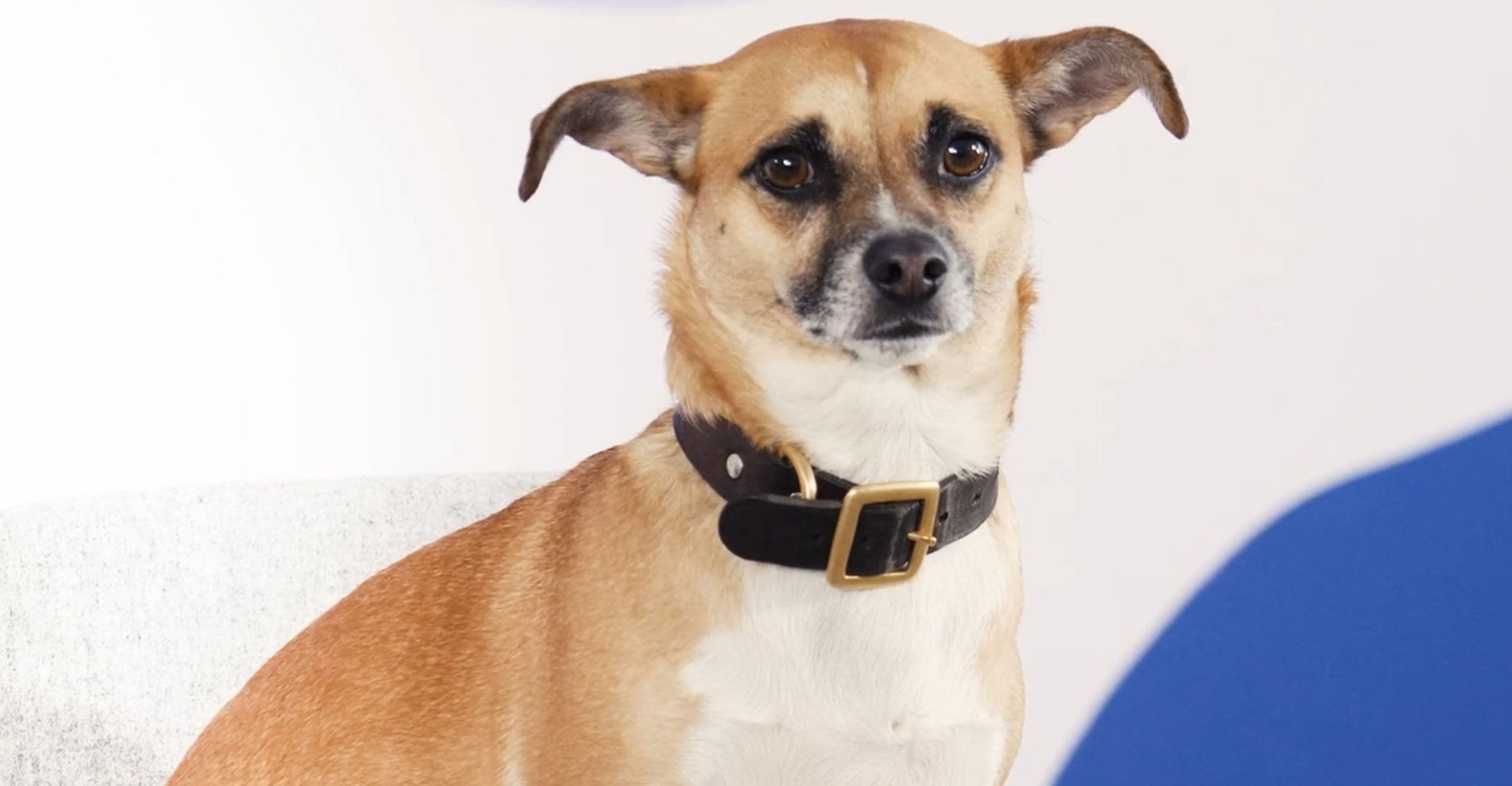 Screen Shot 2026-02-13 at 12.55.46.png