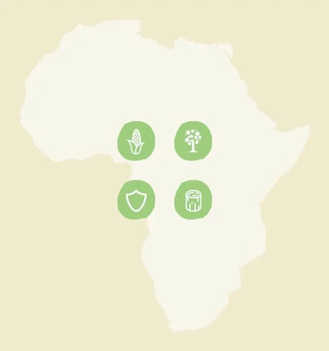 Cute UI i created for @trexfurniture and @treesforthefuture 🌳🌳🌳 &gt;&gt; check out the &ldquo;Money DOES Grow On Trees&rdquo; landing page I designed at trexfurniture.com/trees-for-the-future/