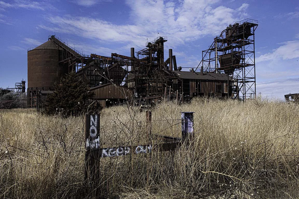 MerleHenkenius Cabon Black Plant Kansas.jpg