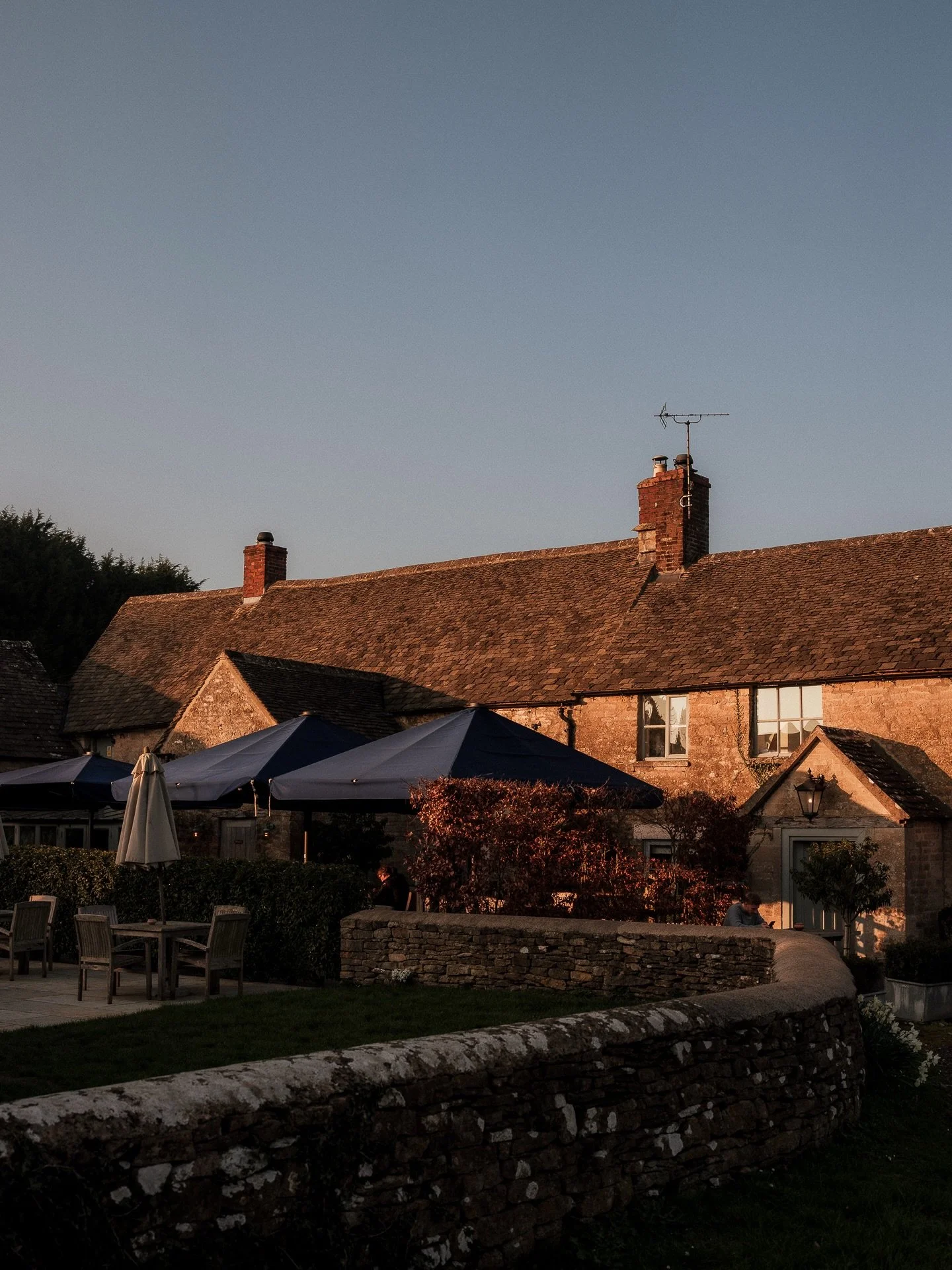 Sunny evenings are on their way. So great to see the garden beginning to fill up! 🍻