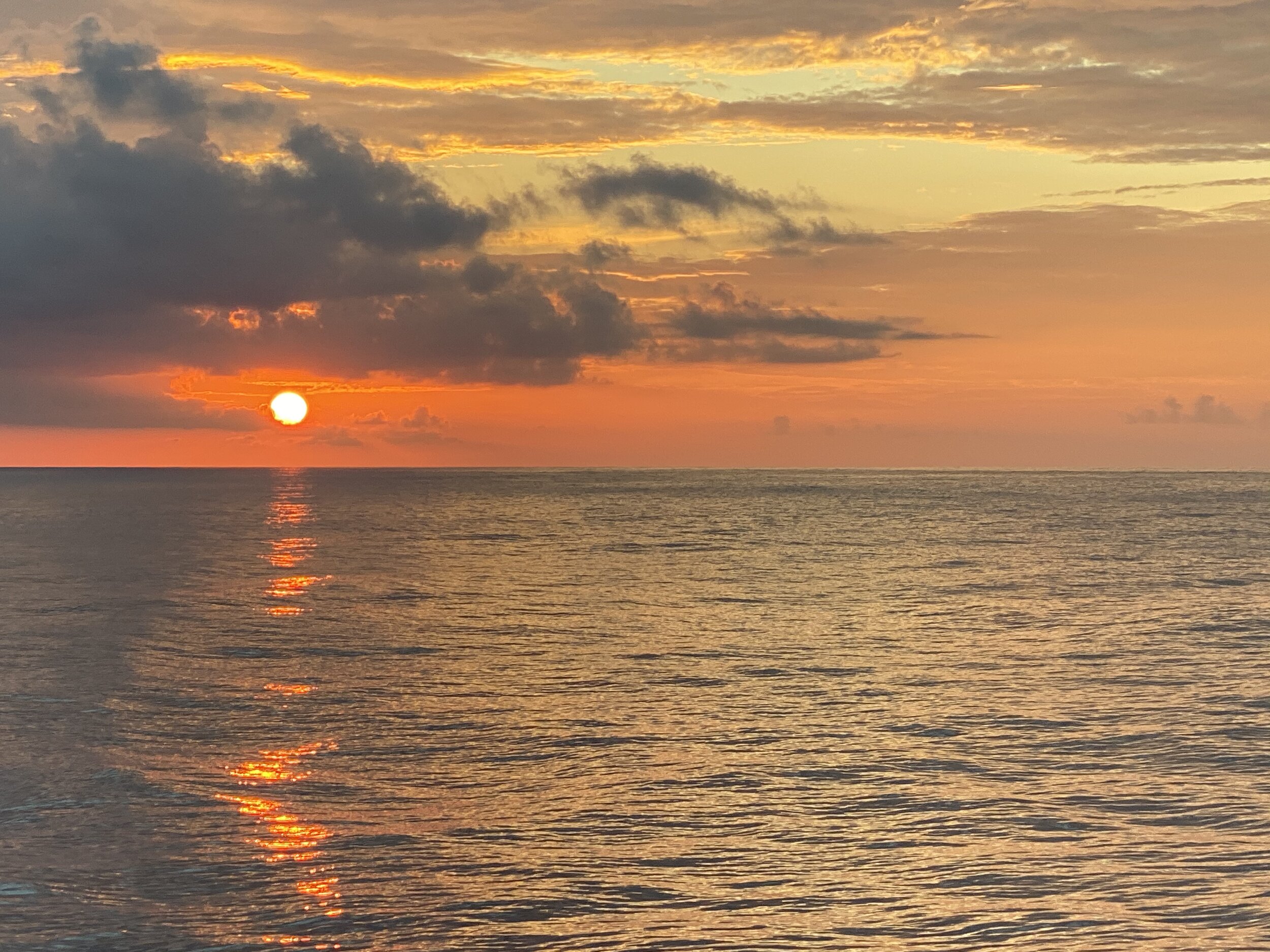 Simple and effective ways to reduce your carbon footprint to help the ocean