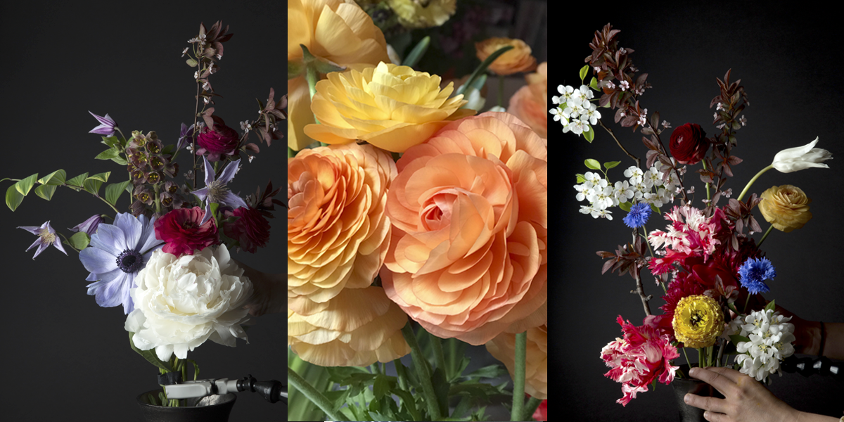 FloralTriptych.png