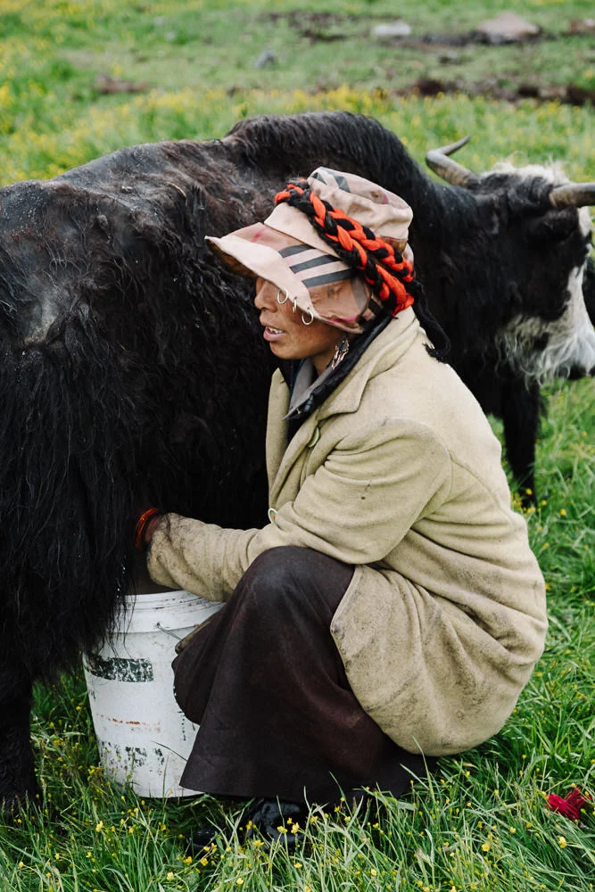 Journeys-Tagong-Tibetan-Shepards-15.jpg