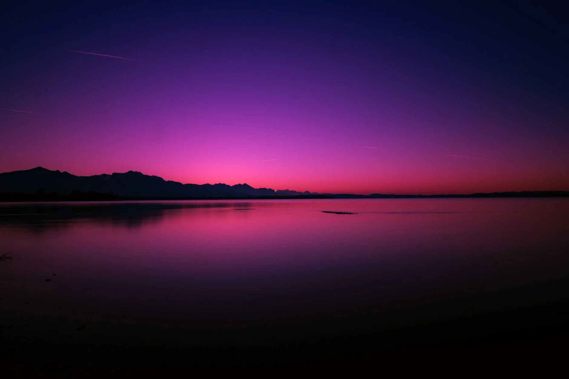 purple banner 2.jpeg