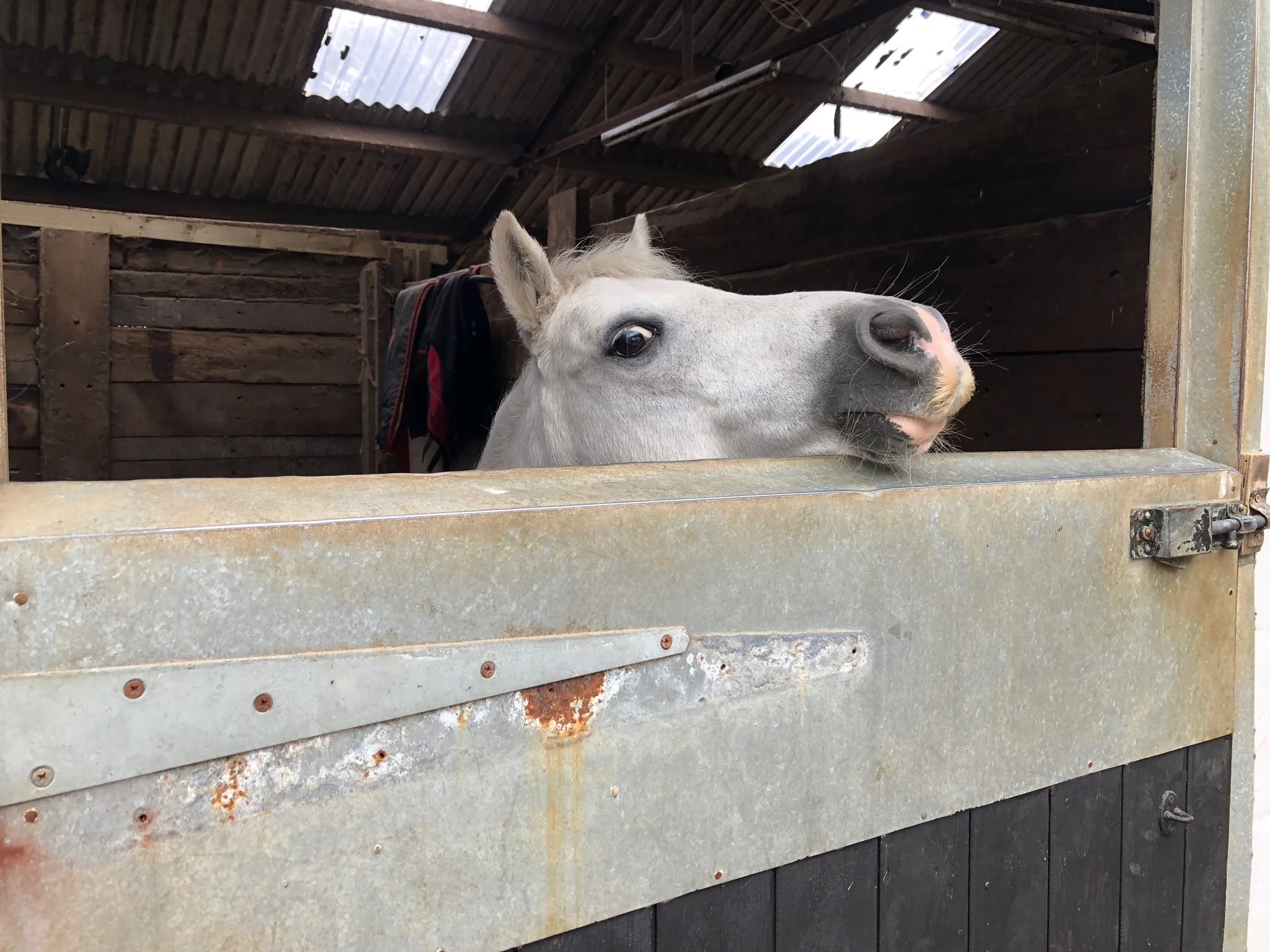 Our New Happiness Index