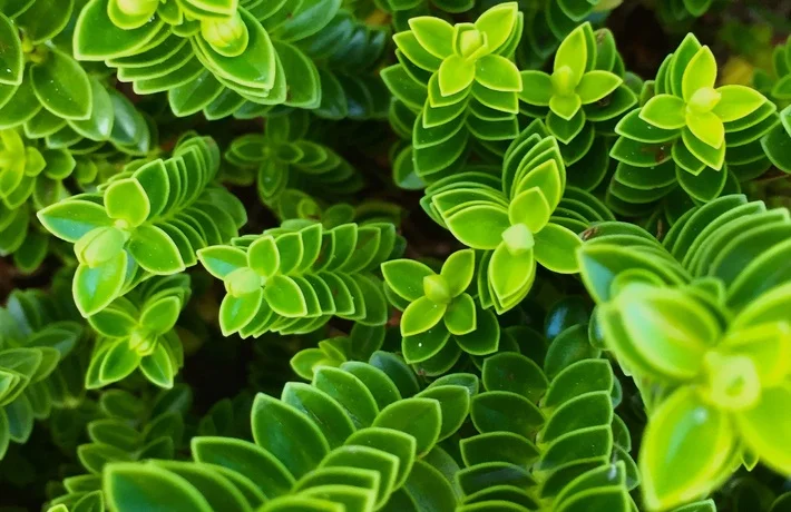 Inside Out Awarded £20,000 Grant