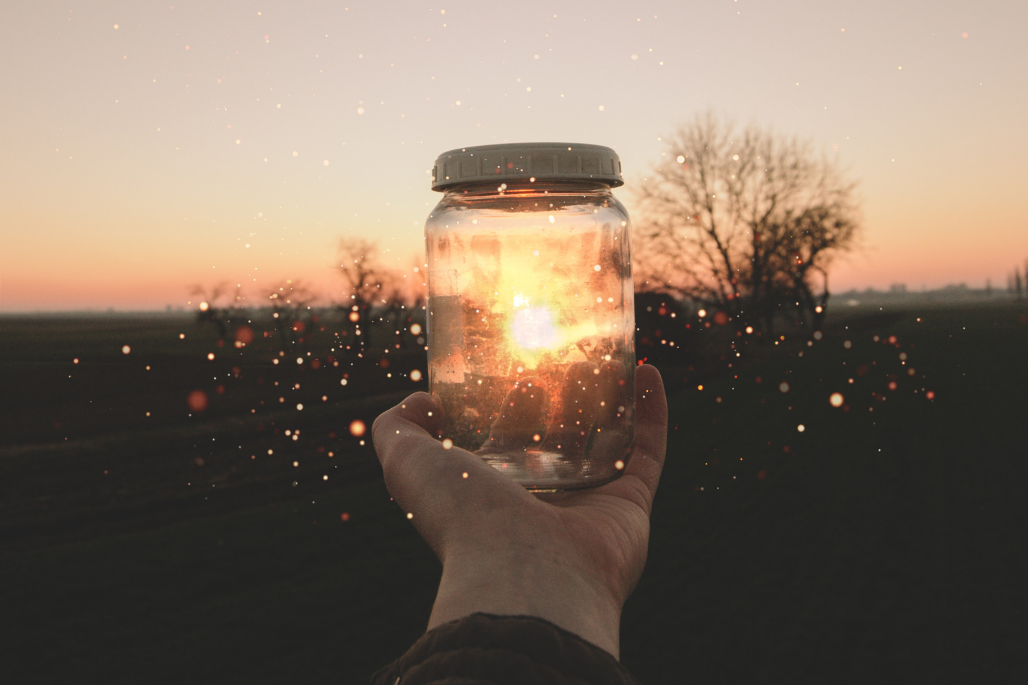 MIND IN A JAR