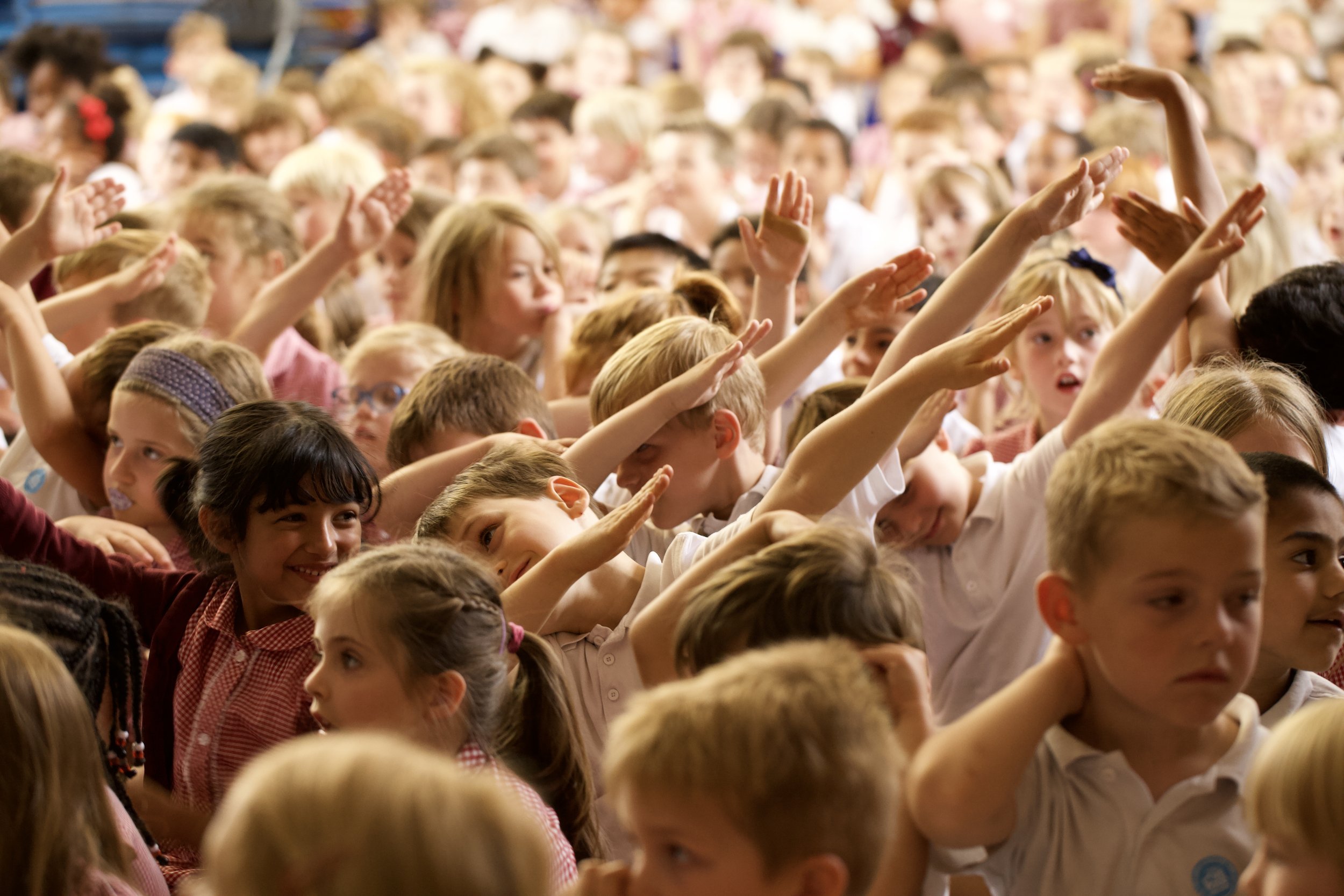 20190710-IMG_0228 4.jpeg