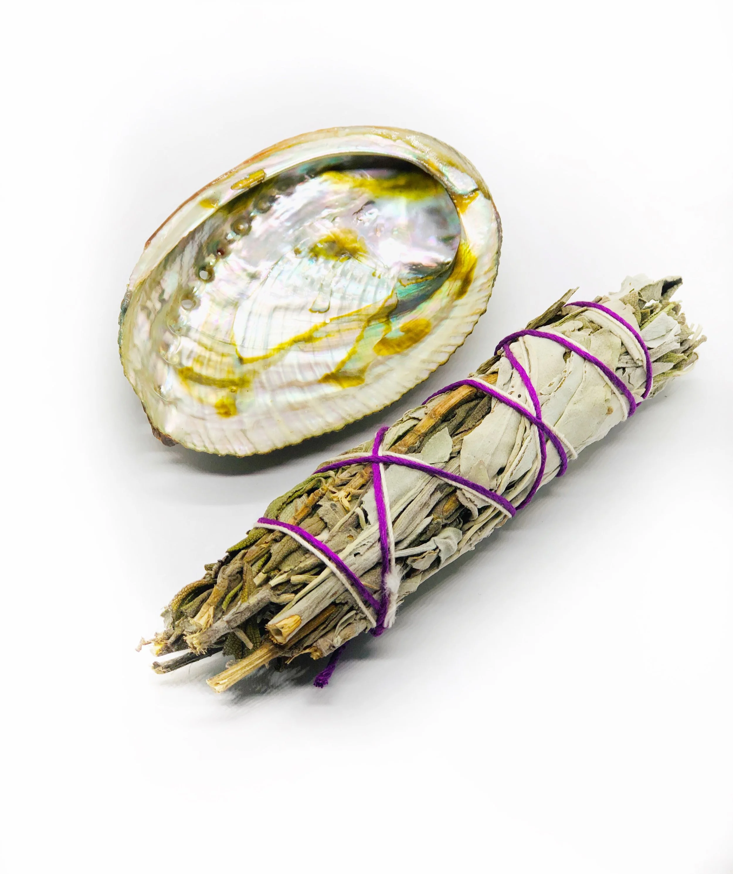 Abalone Shell