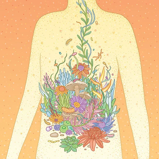 Illustration by Gaby D'Allesandro