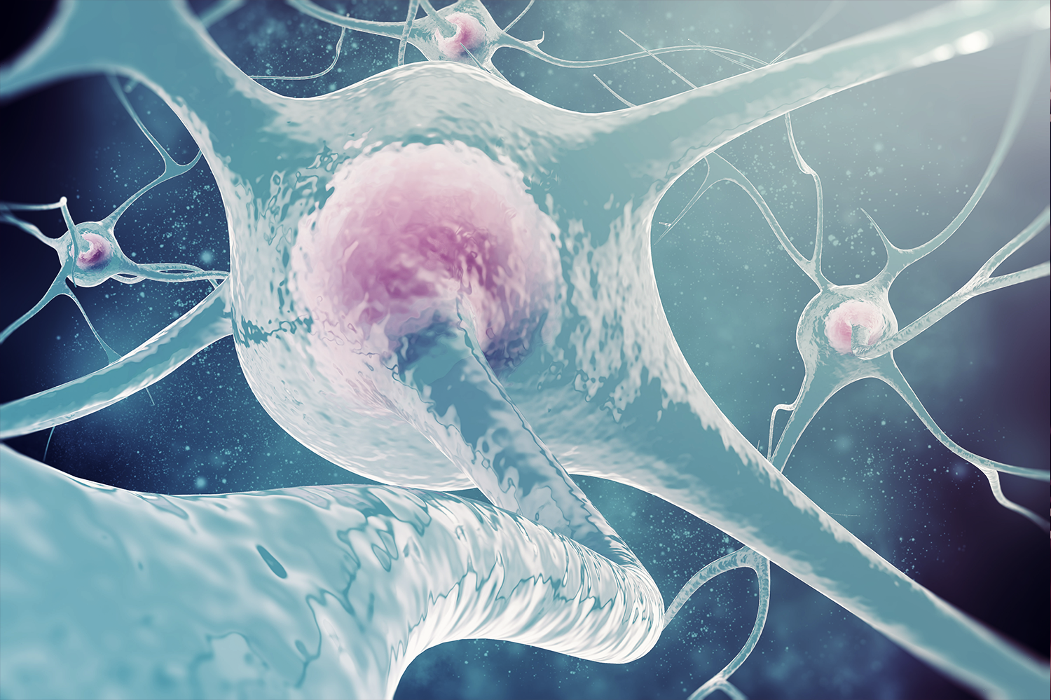 nerve cell in the brain.png
