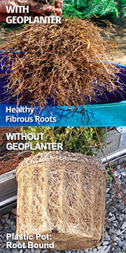 home-compare-healthy-2.png