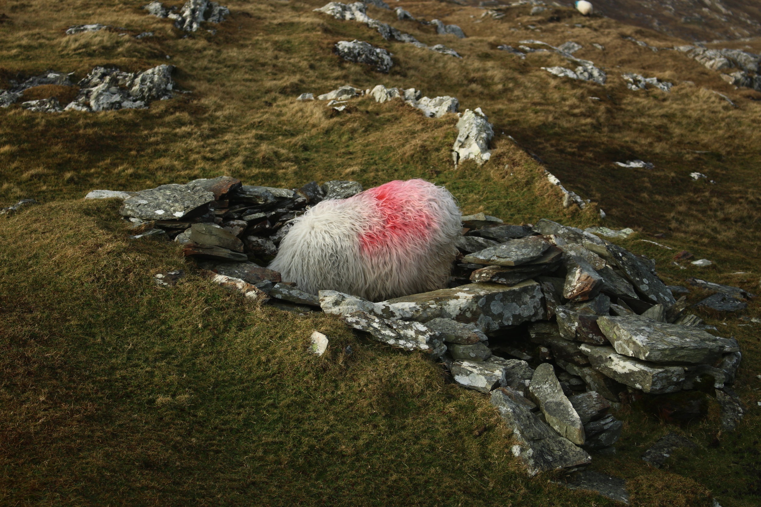 Inishturk