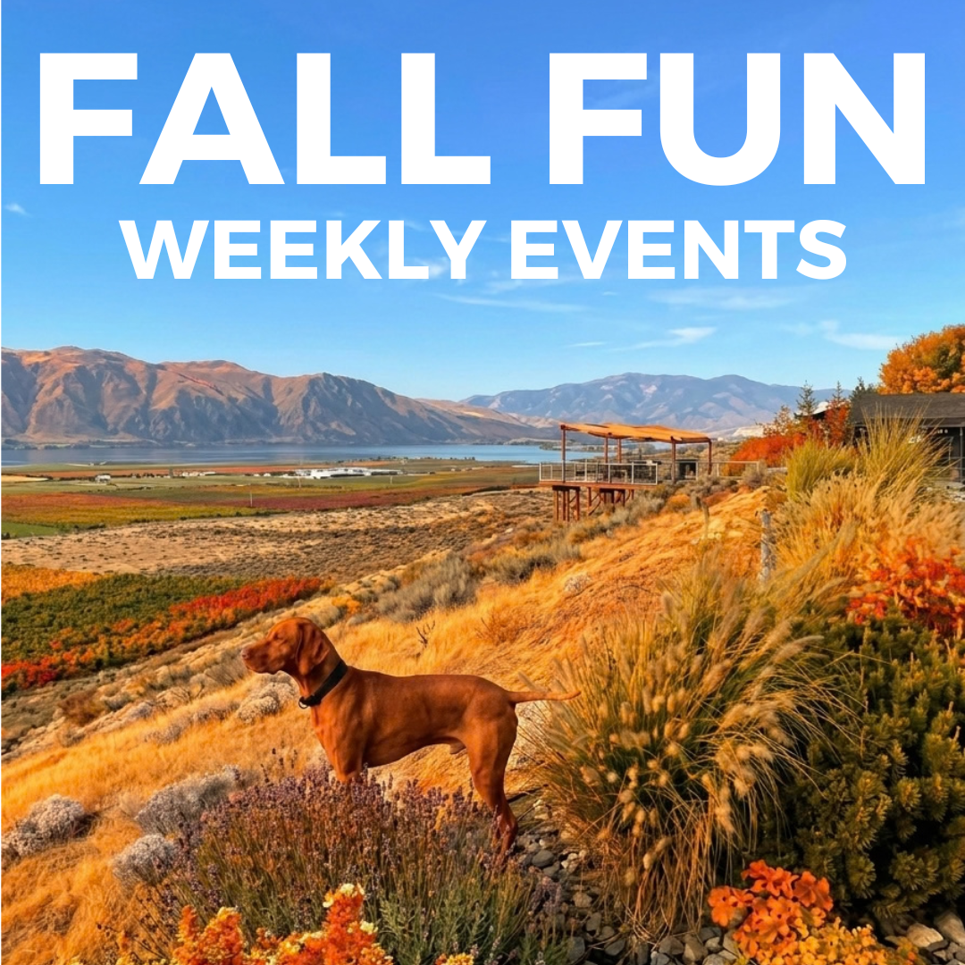 FALL FUN           26.png