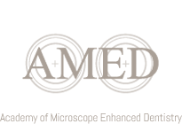 logo-amed.png