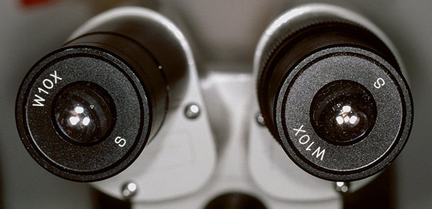 microscope.jpg
