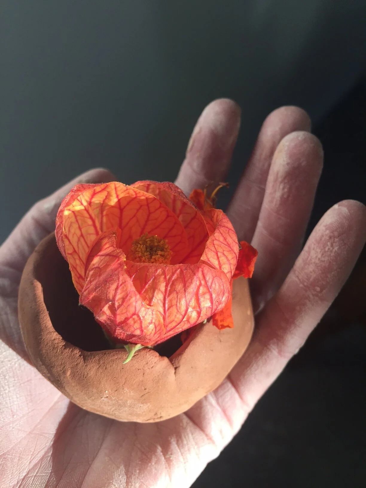 Art as Way of Practice - Earthing with Clay