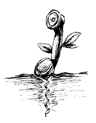 Portfolio DER REC Solar Identity Carousel 5.png