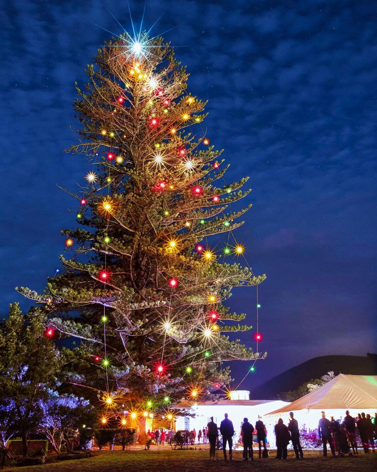 We went to the Parker Ranch Christmas Tree Lighting last night, saw lots of friends and had a wonderful time.  Parker Ranch had several school choirs, Christmas cookies, Hot Chocolate and the grand finale was lighting of the 150 tree!! Thank you Park