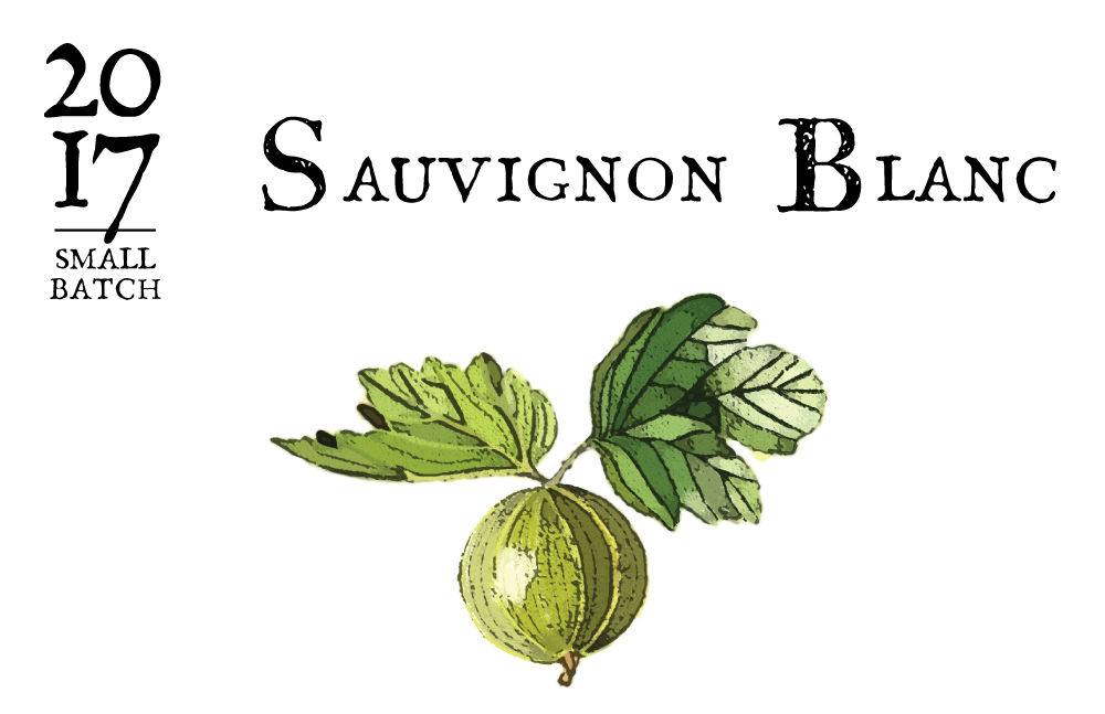 DREA_Vintage-berry.png
