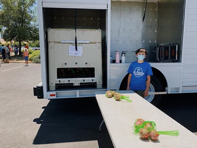 Today Ollie helped @foodbankccs #volunteeringfeelsgood