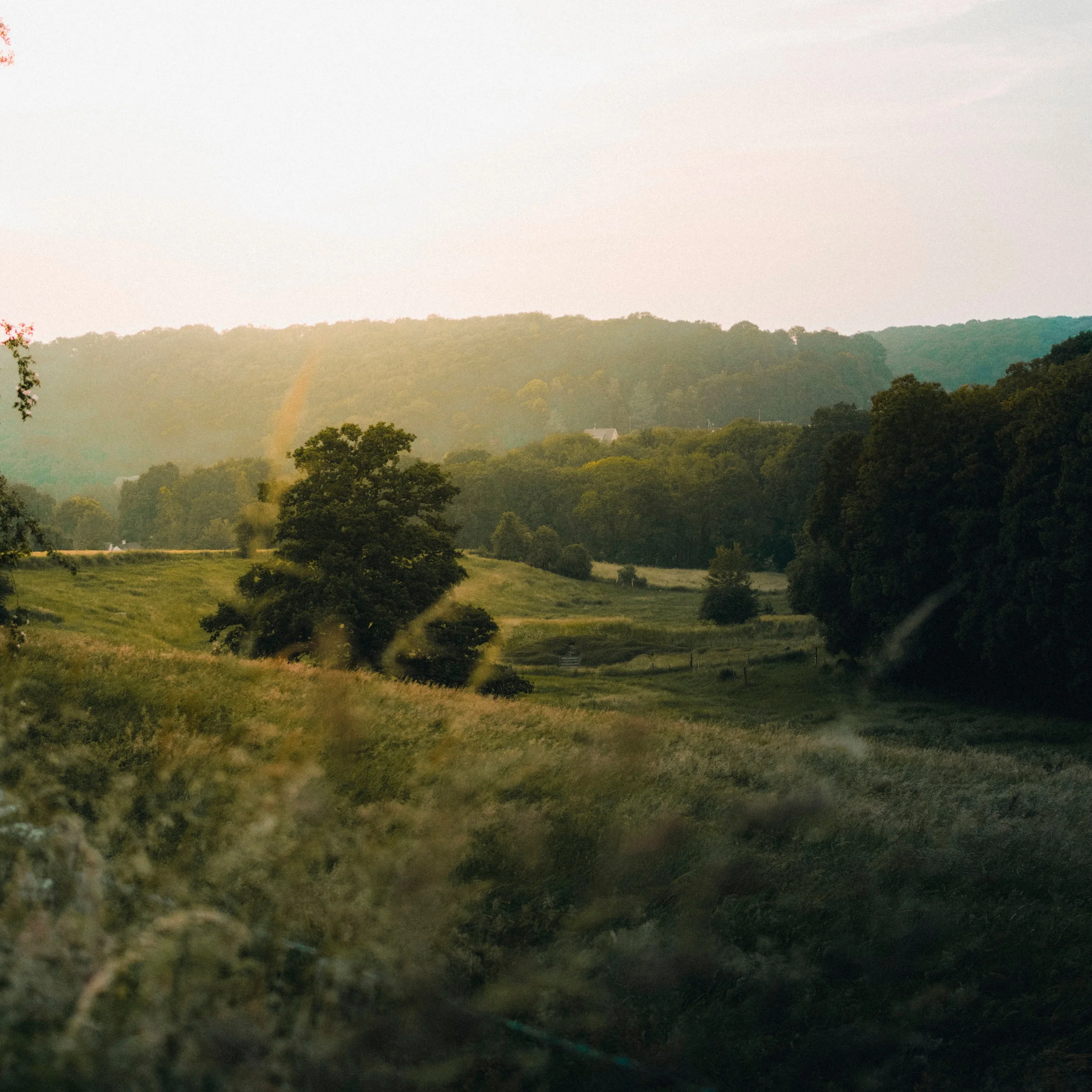,,Plekjes waar ik het bestaan niet van wist''