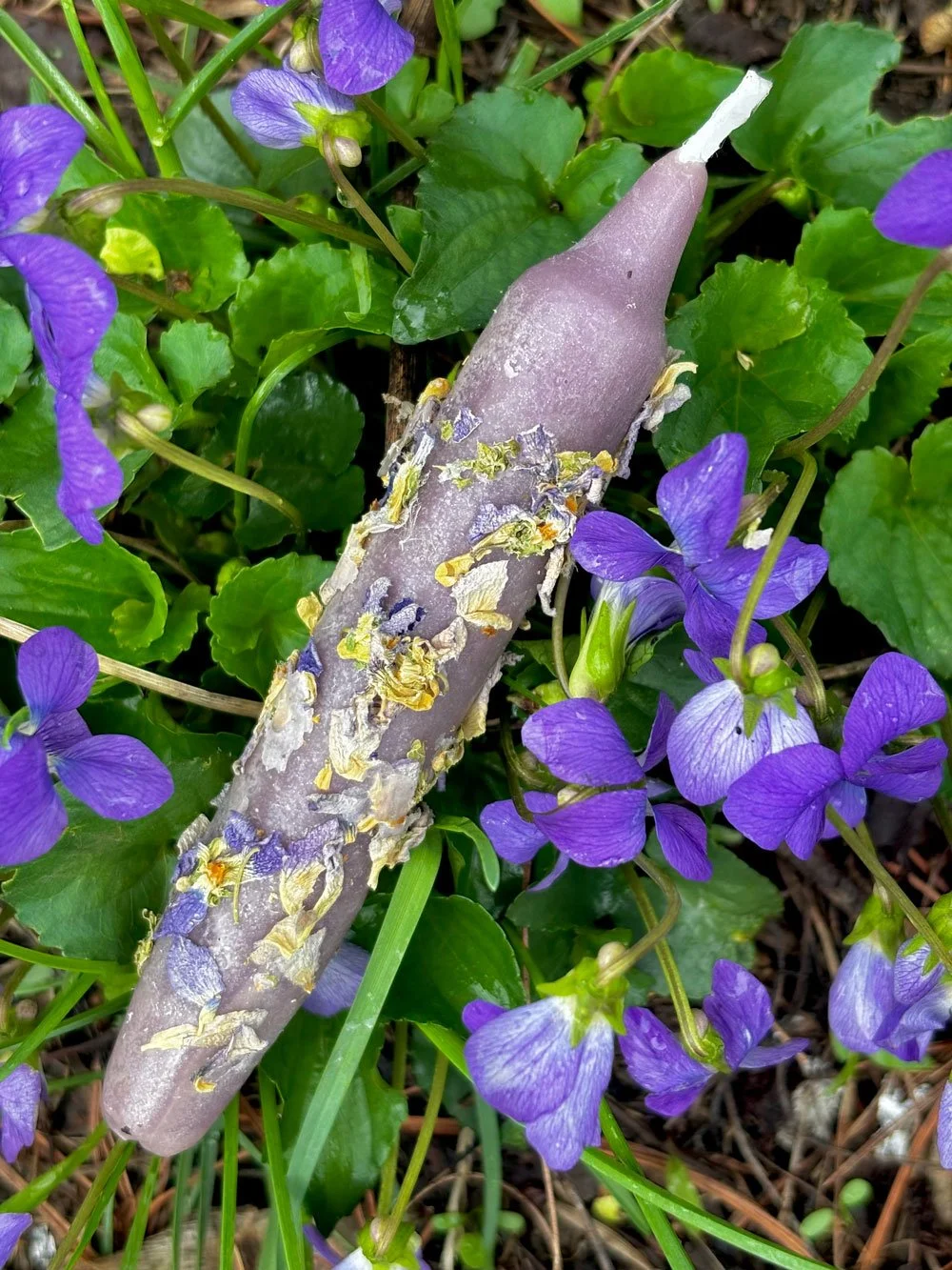 VioletDelightsSpellCandle.jpg