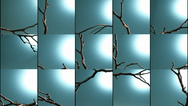 ezgif.com-gif-maker (100).gif
