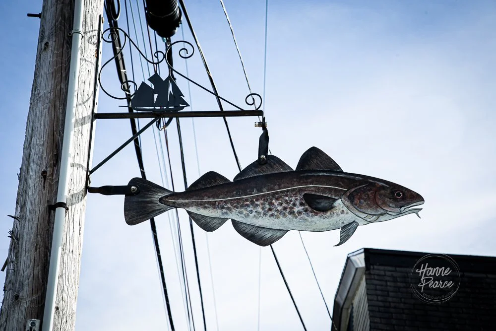 nova scotia-29.jpg