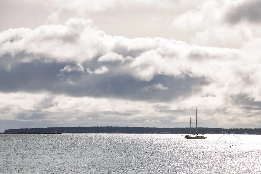 nova scotia-32.jpg