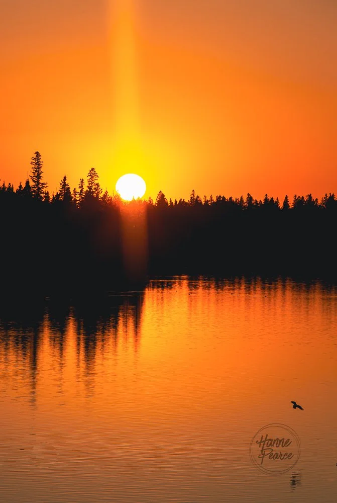astotin lake-3.jpg