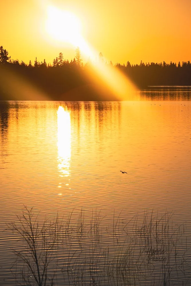 astotin lake-1.jpg