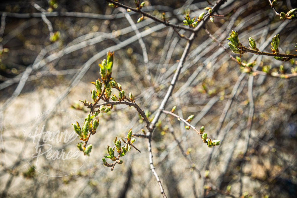 Campus Spring 2026-9.jpg