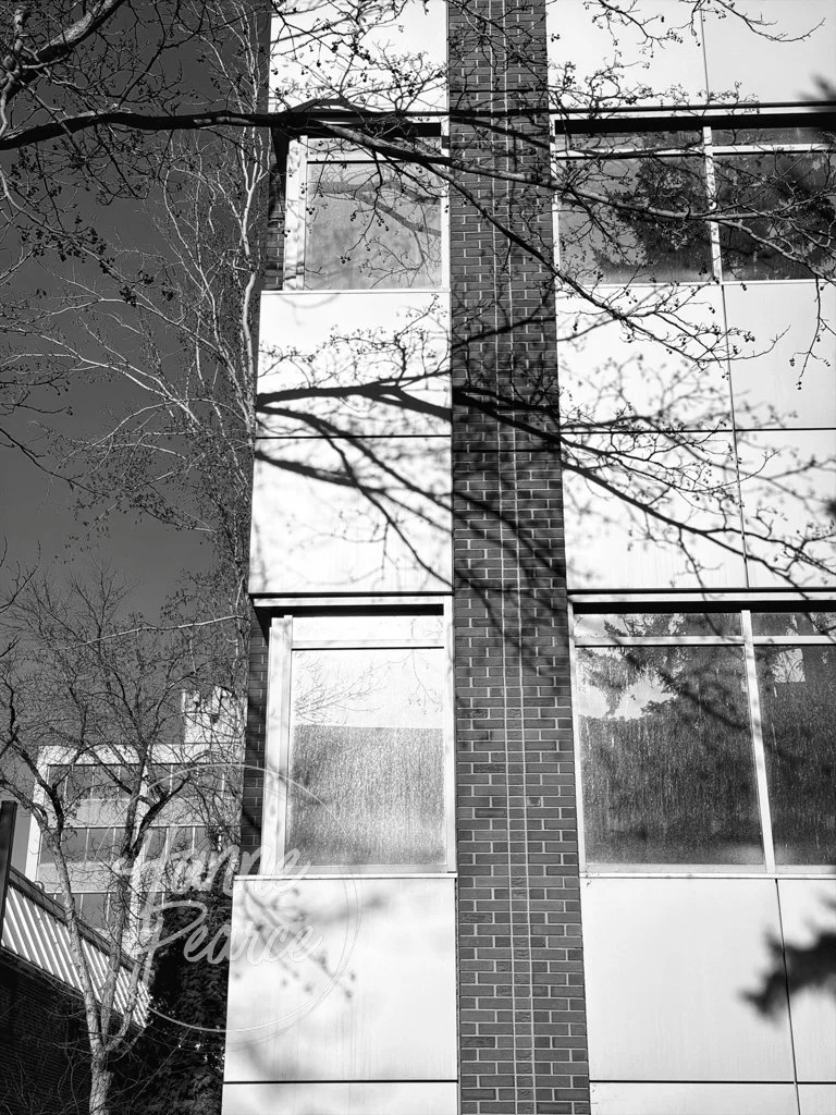 Campus Spring 2026-2.jpg
