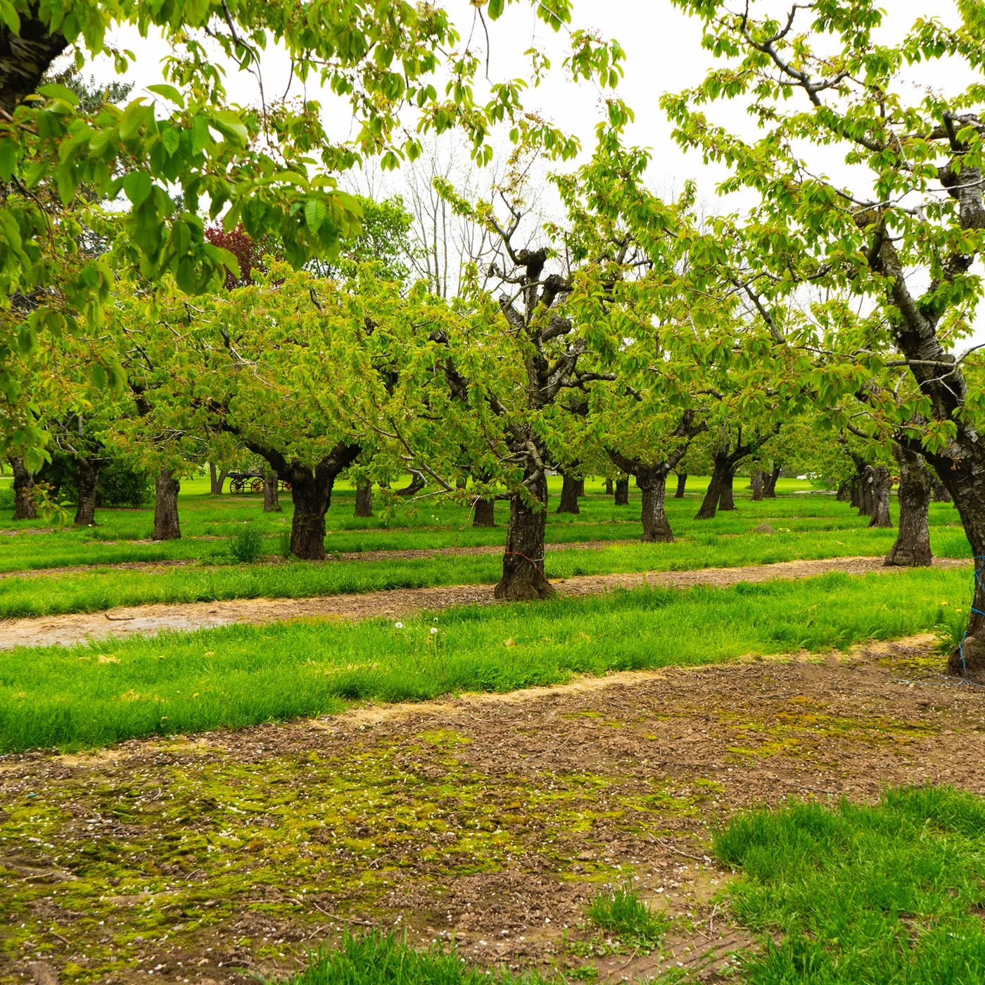 Puddicombe Cider Farm.jpg