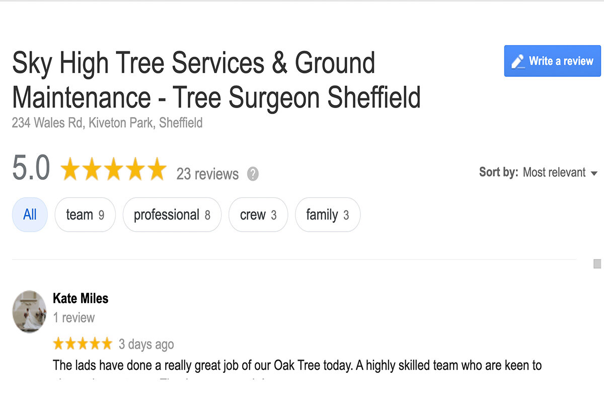best-reviewed-tree-surgeon.jpg