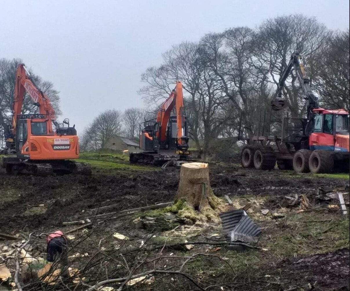 stump-removal-sheffield.jpg